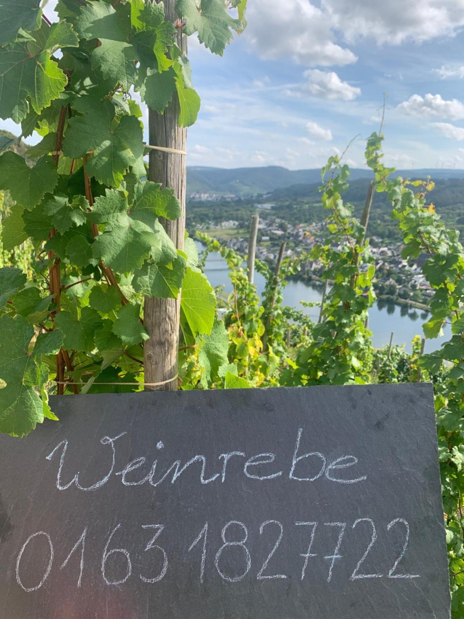 Weinrebe Apartment Bernkastel-Kues Luaran gambar